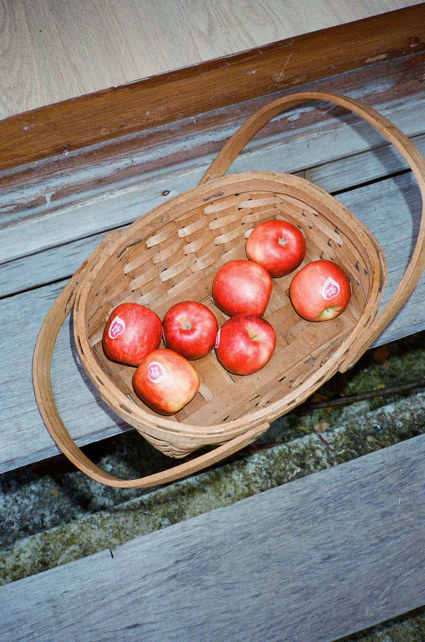 The Striped Knitted Shorts - holidays